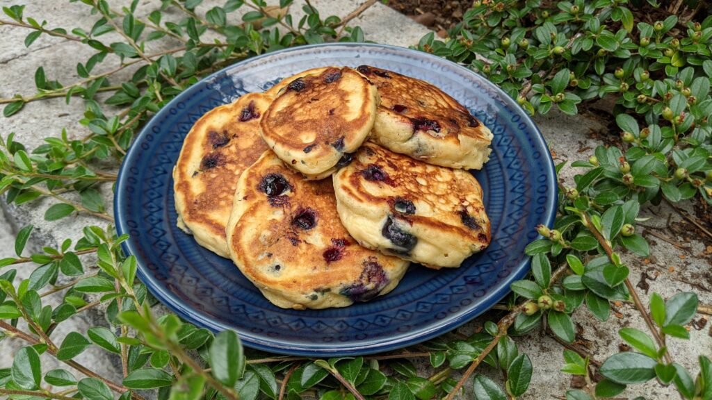 A stack of golden-brown pancakes filled with oozing blueberries sits on a blue plate over a contoneaster-covered concrete wall.